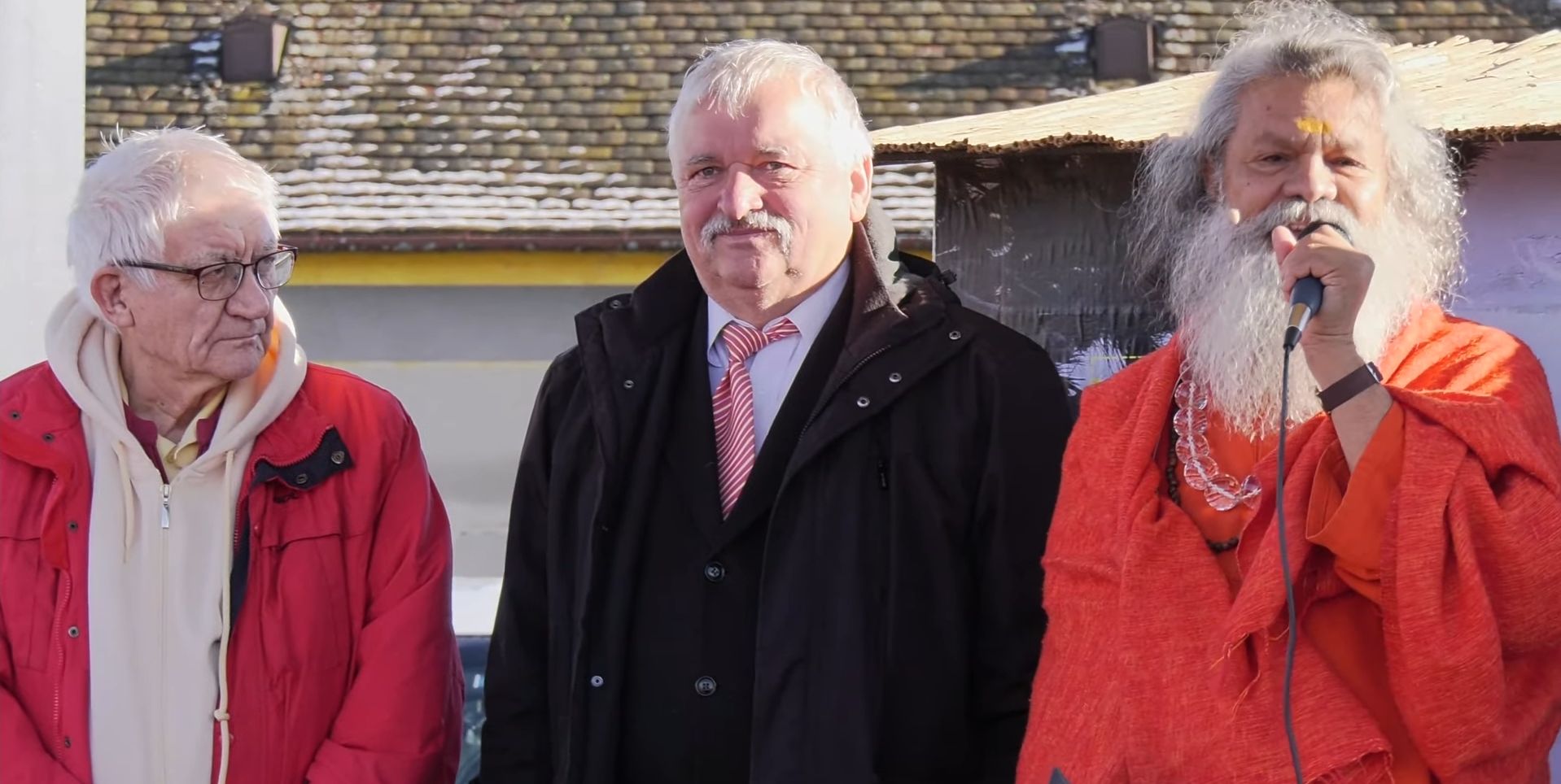 Megemlékezés Vépen a békefánál