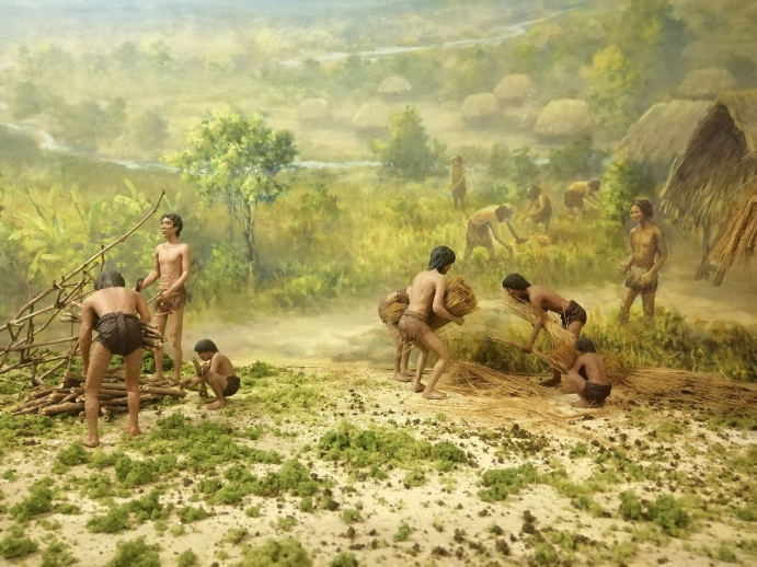 ancient agriculture 15p